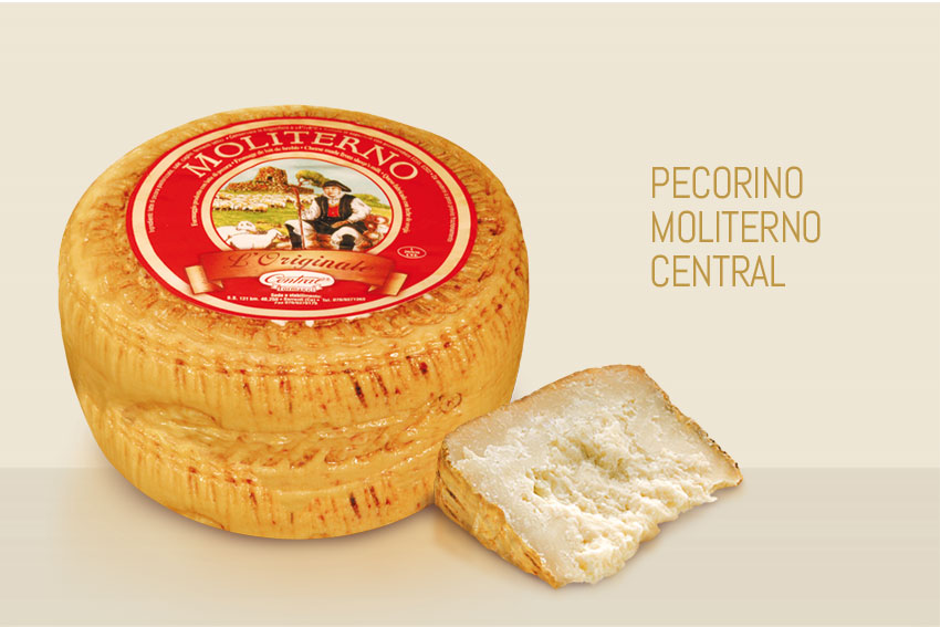 Scopri il formaggio Pecorino Moliterno Central Gustour Conad