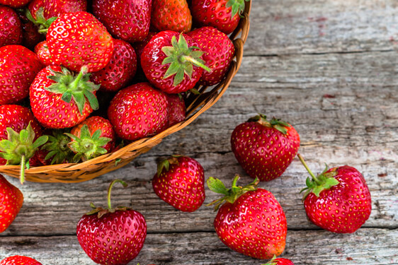 Fragola Favette di Terracina