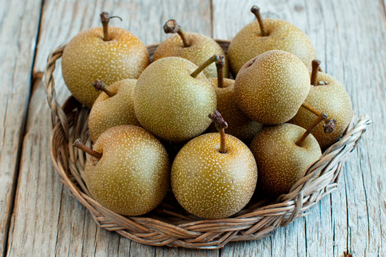 Pera Kaiser - Pianta Da Frutto A Radice Nuda | 1 Pezzo | Varietà Autunnale - 4