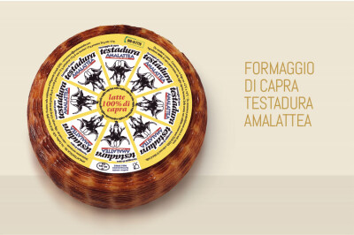 Formaggio di capra Testadura Amalattea - formaggio di capra Testadura Amalattea