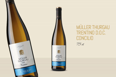 Müller Thurgau Trentino D.O.C. Concilio - MULLER THURGAU TRENTINO D.O.C. CONCILIO