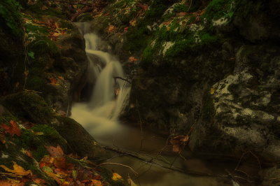 Scopri l'Oasi Valle della Caccia: sentieri, cascate e natura in Irpinia - oasi-valle-della-caccia