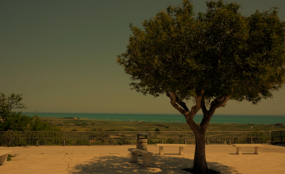 Campomarino: spiagge, storia e sapori del Molise