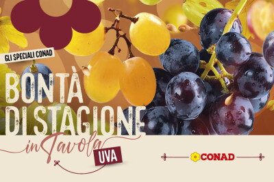 Speciale Frutta di stagione - Speciale Frutta di stagione