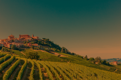 I 7 Sentieri di La Morra: tra grandi vigne e panorami mozzafiato - I 7 Sentieri di La Morra