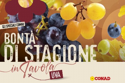 Speciale Bontà di stagione - speciale-bonta-di-stagione-uva