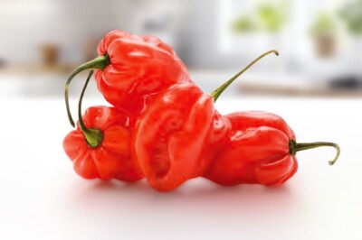 Pimento - Pimento