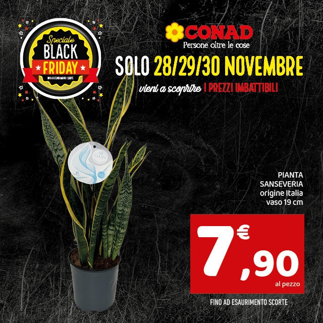 Prodotto in Offerta Black Friday